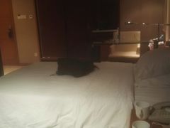 -金陵江南大饭店