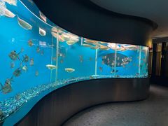-碧涛阁水世界酒店(万家丽路店)