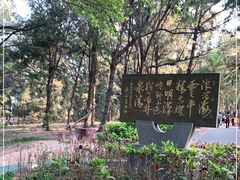 -宋井风景区