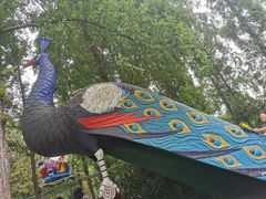 -成飞公园