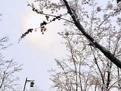 -小小班私人影院·猫咖(万达茂广场店)