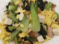 -陶然饺子城(奥体中路店)