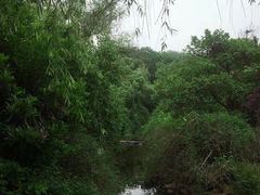 -白马涧龙池景区