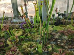 -国家植物园南园