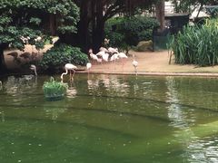 -九龙公园