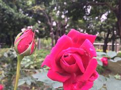 -文华公园(禅城区)
