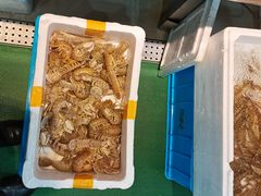 -威海海鲜王(窑头路店)