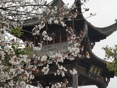 -黟县屏山村