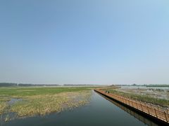 -白洋淀风景区