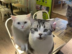 -小时光咖啡馆(开森度假森林店)