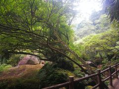 -赤水丹霞旅游区·佛光岩