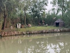 -泗洪洪泽湖湿地景区