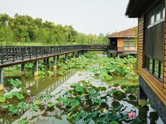 -泗洪洪泽湖湿地景区