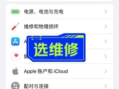 -Apple零售店(深圳益田假日广场店)