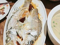 -老山东·山东菜(鲁菜名店)