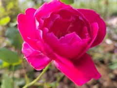 -金海岸文化艺术中心-图书馆