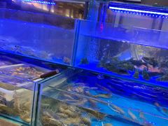 水产区-扬州万怡酒店-中餐厅(文昌中路店)
