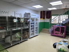 -皖宠联盟宠爱优家宠物医院(中兴西湖店)