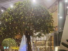 -上海明天广场JW万豪酒店