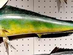 -贝林大翅鲸简餐厅(国家海洋博物馆店)