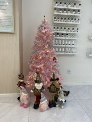 -韩国淼美颜皮肤管理官方直营店