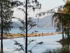 -四明山国家森林公园