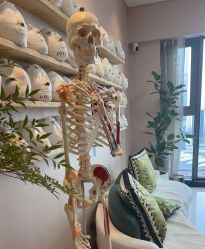 -颜和骨正&明星徒手小颜整骨