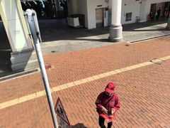 -Big Bus Tours 敞篷观光巴士