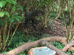 -海南热带野生动植物园