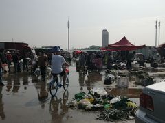 -何庄子阿米玛玛农产品批发市场