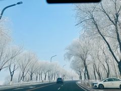 -哈尔滨大剧院