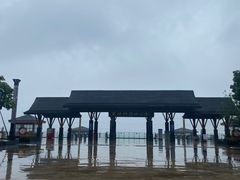 -张坝桂圆林公园