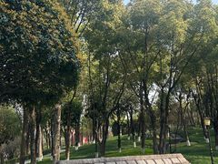 -重庆市江北嘴中央商务区中央公园