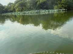 -西湖游船