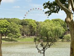 -上海野生动物园
