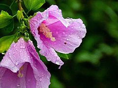 -长辛店二七公园