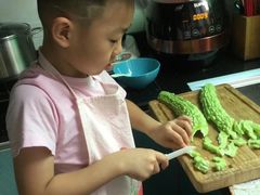 -都江堰中华大熊猫苑