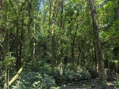 -火炉山森林公园