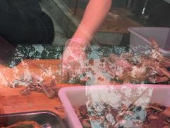 -洪记白水羊头(天坛店)