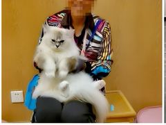 -MOCHA明星猫咖(田子坊店)