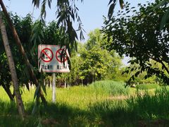 -永定河休闲森林公园