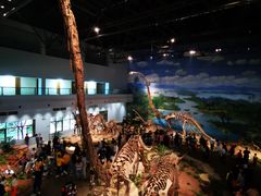 -自贡恐龙博物馆