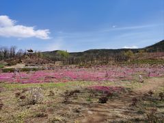 -雪山彩虹谷景区