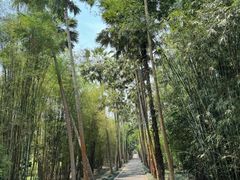 -中国科学院西双版纳热带植物园
