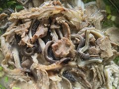 -攀枝花·任德琼·盐边羊肉米线
