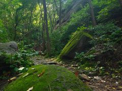 -大岭沟猕猴桃谷风景区