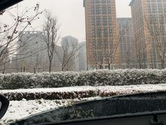 -木塔寺遗址生态公园