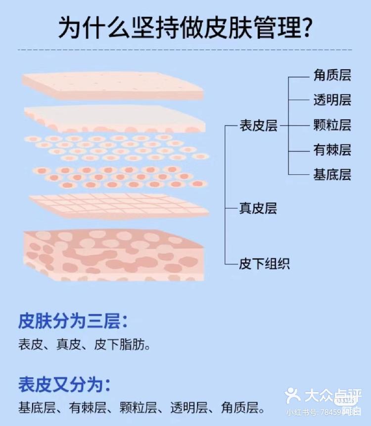 为什么要护肤品早晚百科在线 为什么要护肤品早晚百科在线