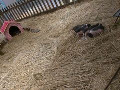 android_upload_pic-远洋未来广场(育慧北路店)