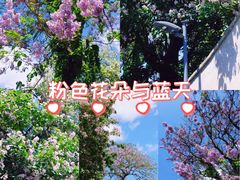 -北京国子监胡同